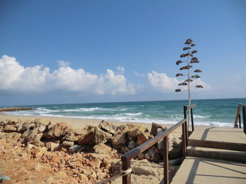 ai851.photobucket.com_albums_ab74_Voadora_album_Farol_CIMG6111.jpg