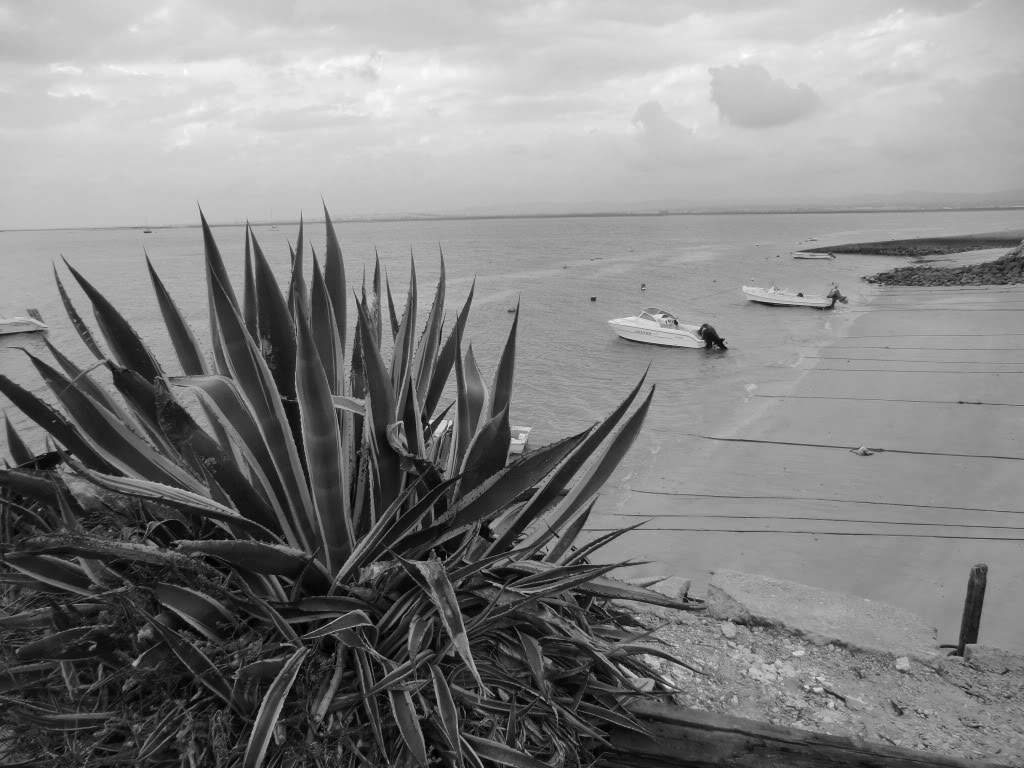 ai851.photobucket.com_albums_ab74_Voadora_album_Farol_CIMG6160.jpg