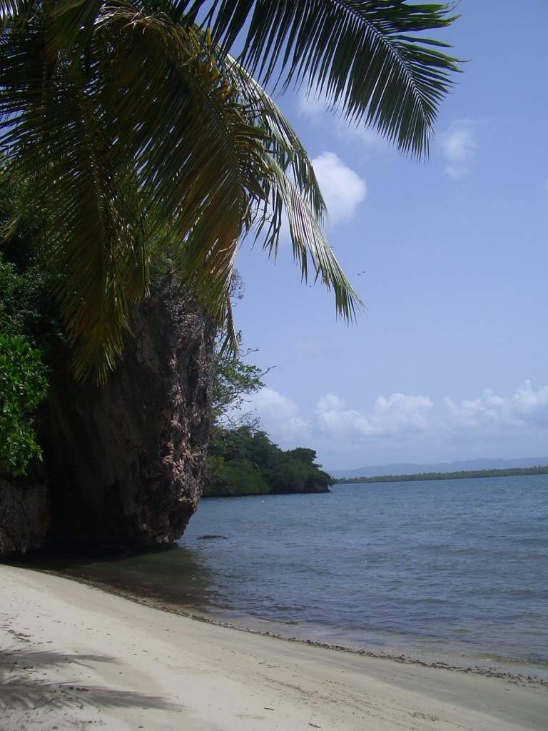 ai851.photobucket.com_albums_ab74_Voadora_album_Haitises_CIMG4395.jpg