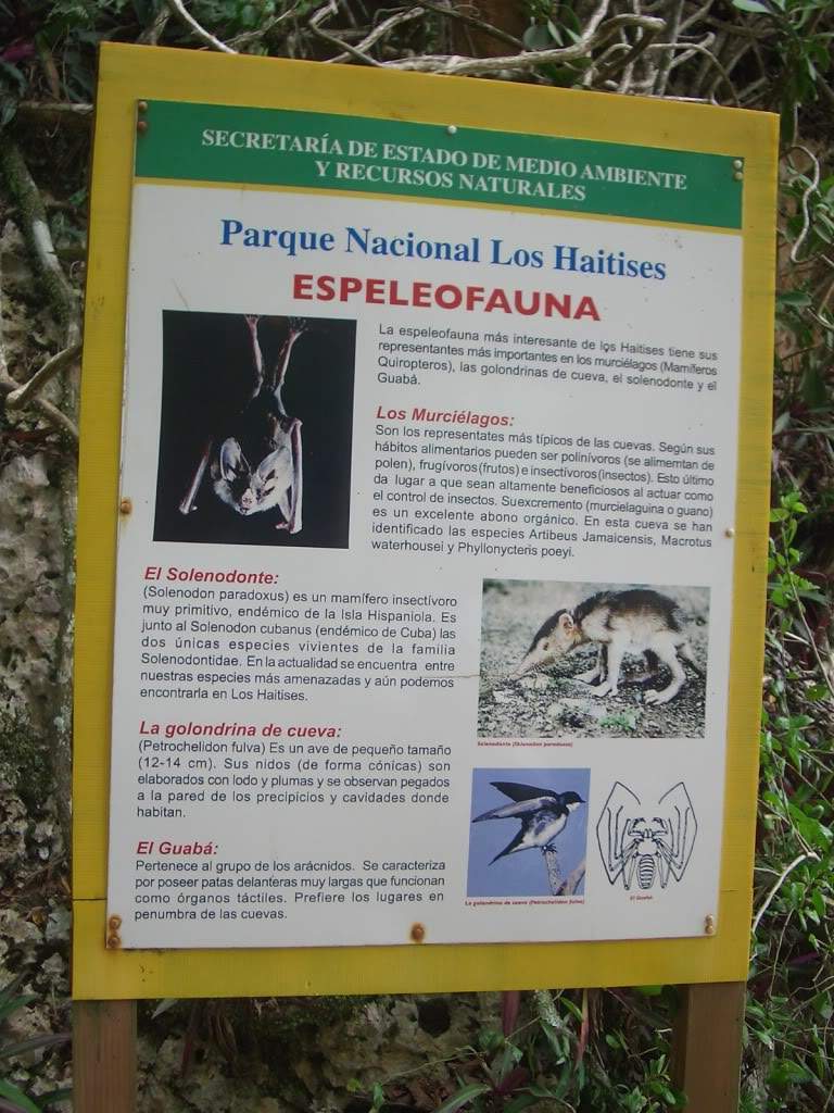 ai851.photobucket.com_albums_ab74_Voadora_album_Haitises_CIMG4400.jpg