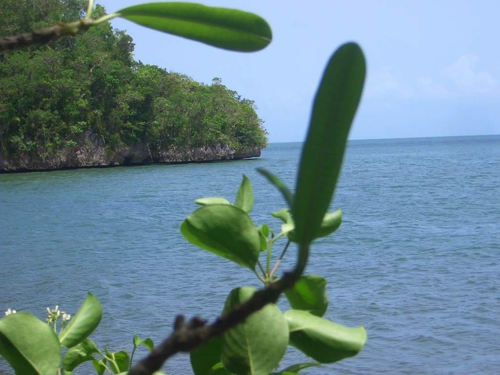 ai851.photobucket.com_albums_ab74_Voadora_album_Haitises_CIMG4420.jpg