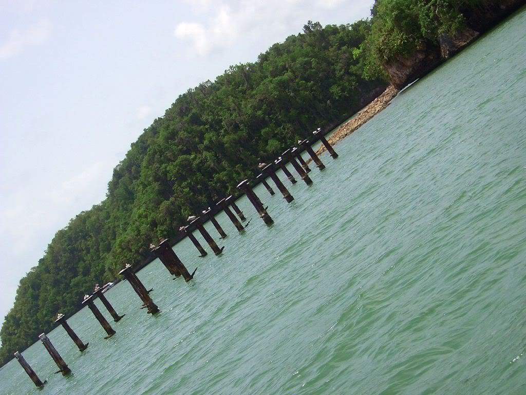 ai851.photobucket.com_albums_ab74_Voadora_album_Haitises_CIMG4429.jpg