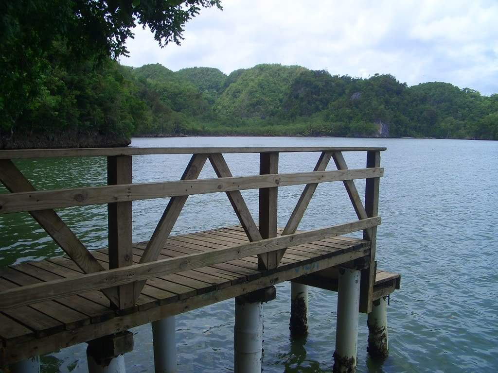 ai851.photobucket.com_albums_ab74_Voadora_album_Haitises_CIMG4463.jpg
