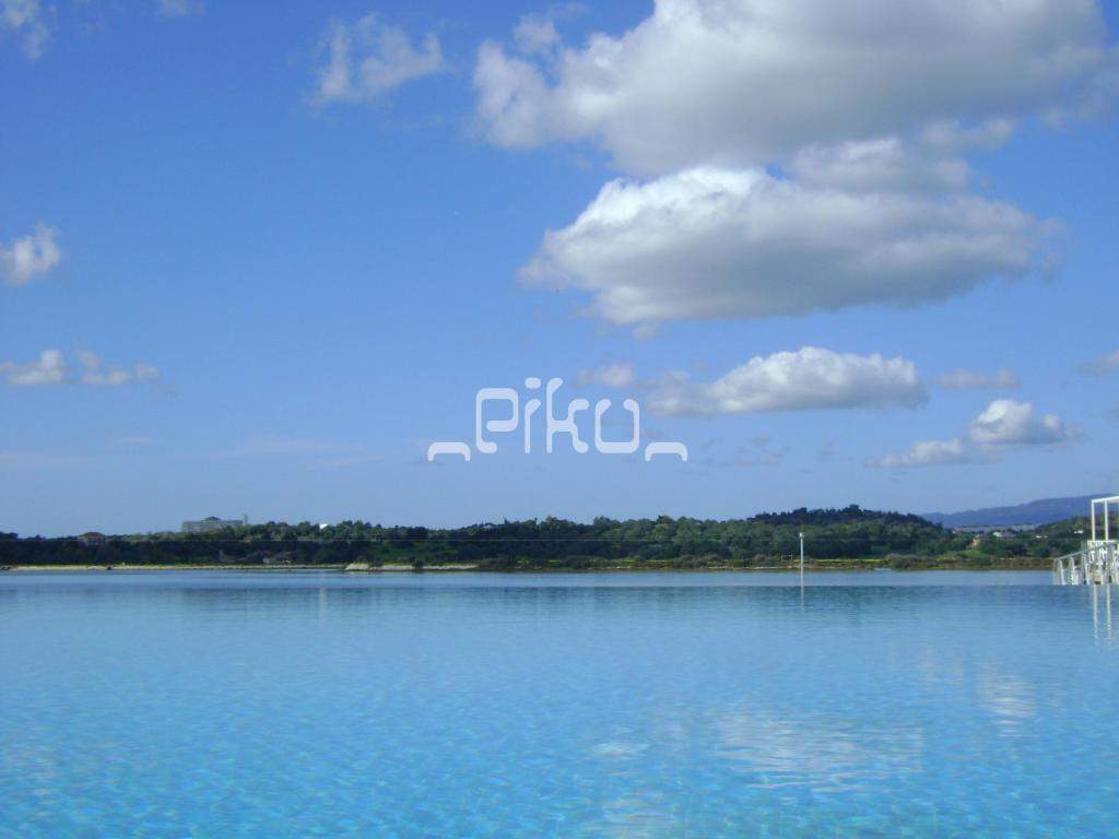 ai861.photobucket.com_albums_ab172_PikuePuki_DSC04710_zpsdddc50b0.jpg