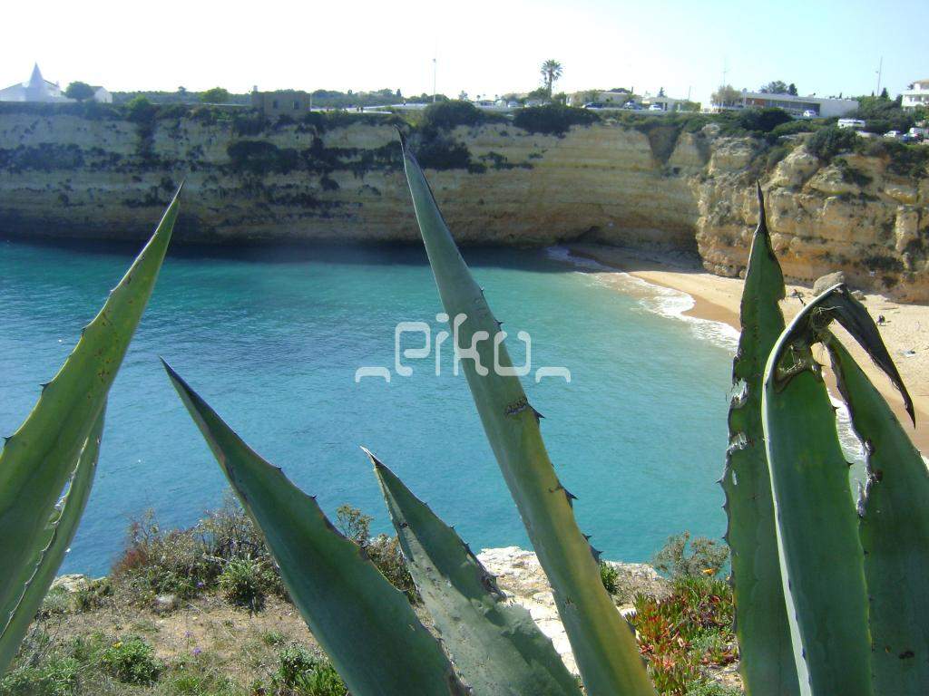 ai861.photobucket.com_albums_ab172_PikuePuki_DSC04922_zpsead581e3.jpg