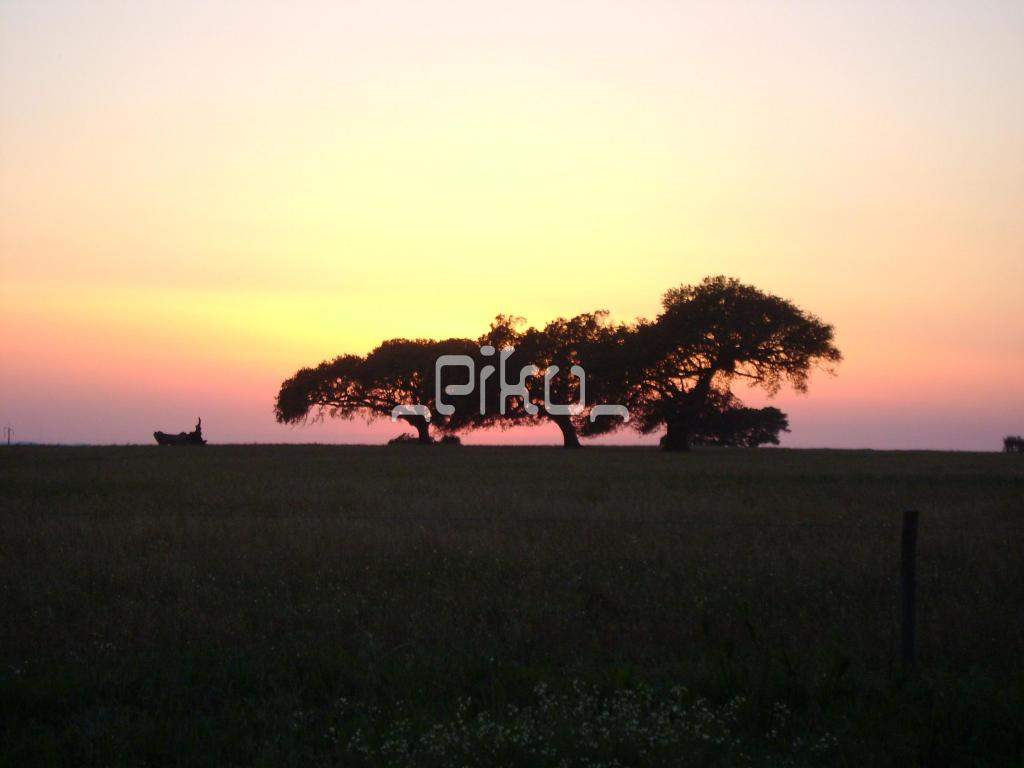 ai861.photobucket.com_albums_ab172_PikuePuki_DSC04963_zpsdc89cdb6.jpg