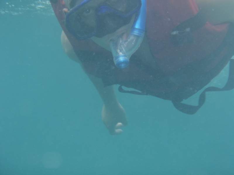 ai862.photobucket.com_albums_ab181_paulonev_Cuba_202013_DSC00217.jpg