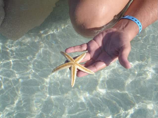 ai862.photobucket.com_albums_ab181_paulonev_CUBA_DSC02611.jpg
