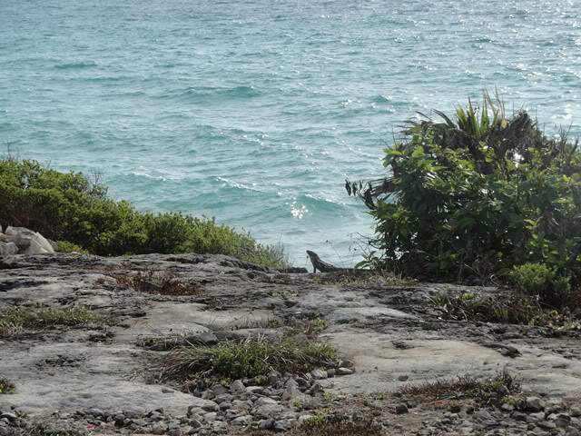 ai862.photobucket.com_albums_ab181_paulonev_Mexico_202012_DSC00458Cpia_zps442b88a1.jpg