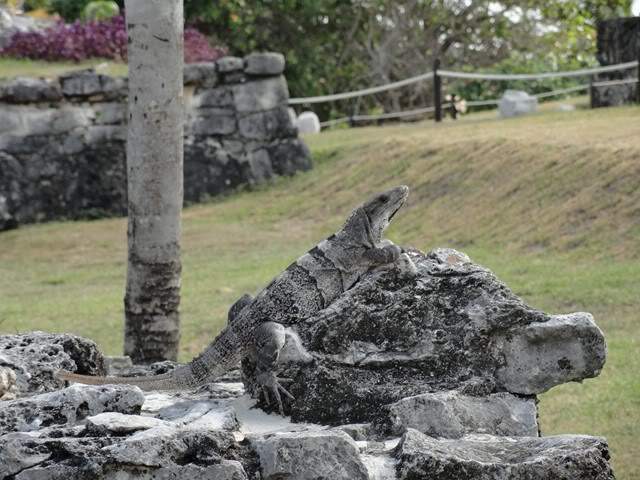 ai862.photobucket.com_albums_ab181_paulonev_Mexico_202012_DSC00489Cpia.jpg