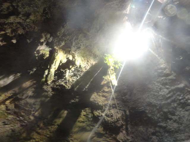 ai862.photobucket.com_albums_ab181_paulonev_Mexico_202012_DSC00531Cpia.jpg