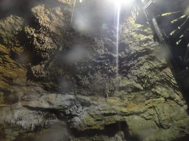 ai862.photobucket.com_albums_ab181_paulonev_Mexico_202012_DSC00536Cpia.jpg