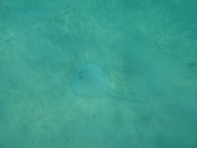 ai862.photobucket.com_albums_ab181_paulonev_Mexico_202012_DSC00540Cpia.jpg