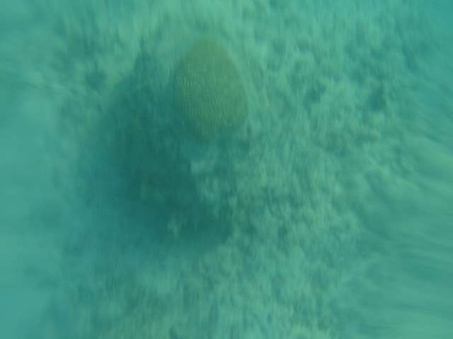 ai862.photobucket.com_albums_ab181_paulonev_Mexico_202012_DSC00556Cpia.jpg