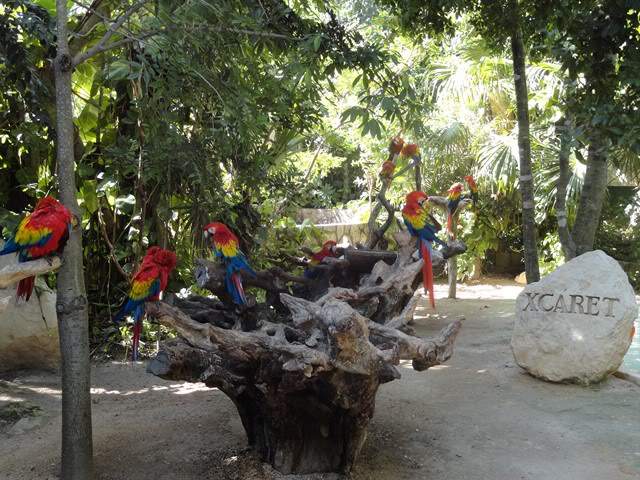 ai862.photobucket.com_albums_ab181_paulonev_Mexico_202012_DSC00578Cpia.jpg