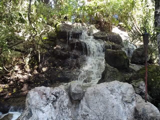ai862.photobucket.com_albums_ab181_paulonev_Mexico_202012_DSC00593Cpia.jpg
