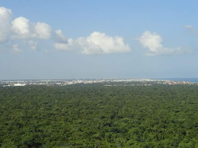 ai862.photobucket.com_albums_ab181_paulonev_Mexico_202012_DSC00602Cpia.jpg