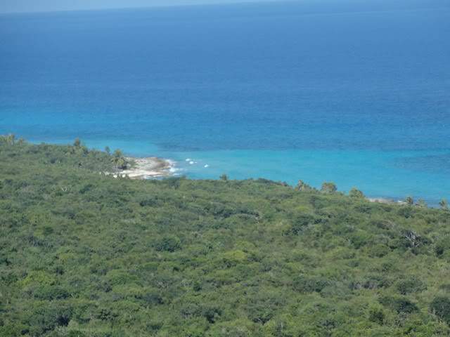 ai862.photobucket.com_albums_ab181_paulonev_Mexico_202012_DSC00603Cpia.jpg