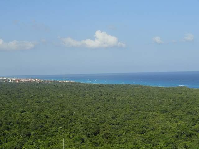 ai862.photobucket.com_albums_ab181_paulonev_Mexico_202012_DSC00607Cpia.jpg