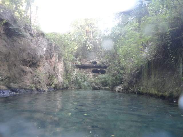 ai862.photobucket.com_albums_ab181_paulonev_Mexico_202012_DSC00625Cpia.jpg
