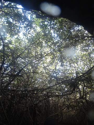 ai862.photobucket.com_albums_ab181_paulonev_Mexico_202012_DSC00640Cpia.jpg
