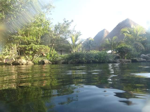ai862.photobucket.com_albums_ab181_paulonev_Mexico_202012_DSC00644Cpia.jpg