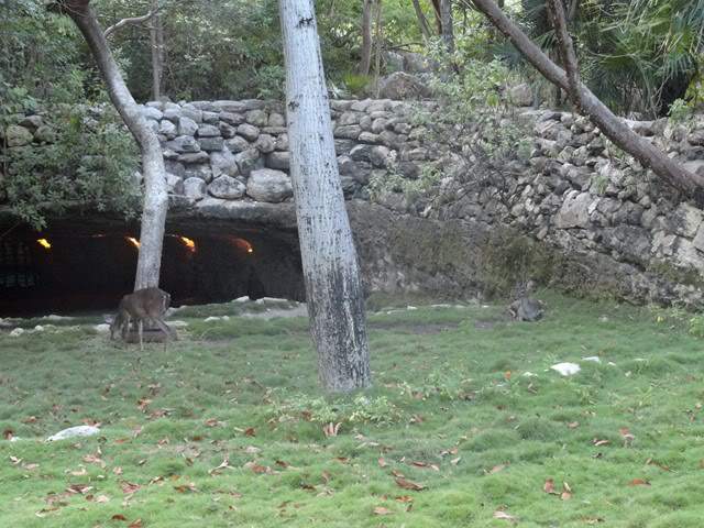 ai862.photobucket.com_albums_ab181_paulonev_Mexico_202012_DSC00661Cpia.jpg