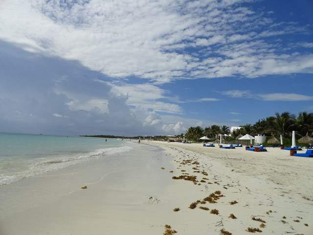 ai862.photobucket.com_albums_ab181_paulonev_Mexico_202012_DSC00783Cpia.jpg