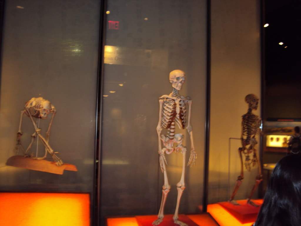 ai862.photobucket.com_albums_ab181_paulonev_New_20York_202012_DSC01300.jpg
