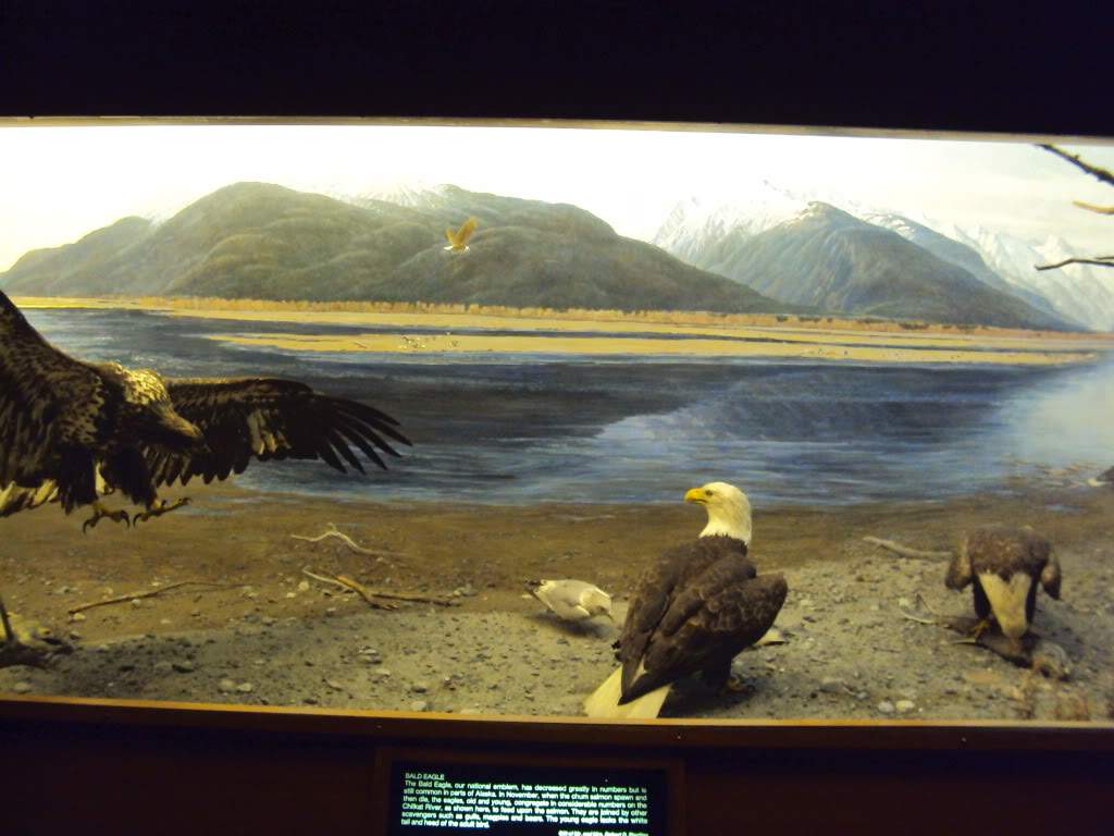 ai862.photobucket.com_albums_ab181_paulonev_New_20York_202012_DSC01322.jpg