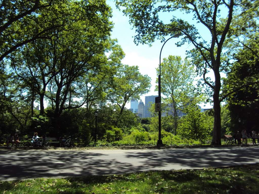 ai862.photobucket.com_albums_ab181_paulonev_New_20York_202012_DSC01330.jpg