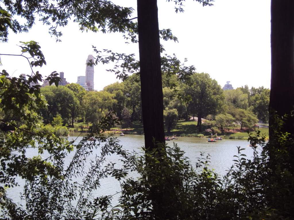 ai862.photobucket.com_albums_ab181_paulonev_New_20York_202012_DSC01333.jpg