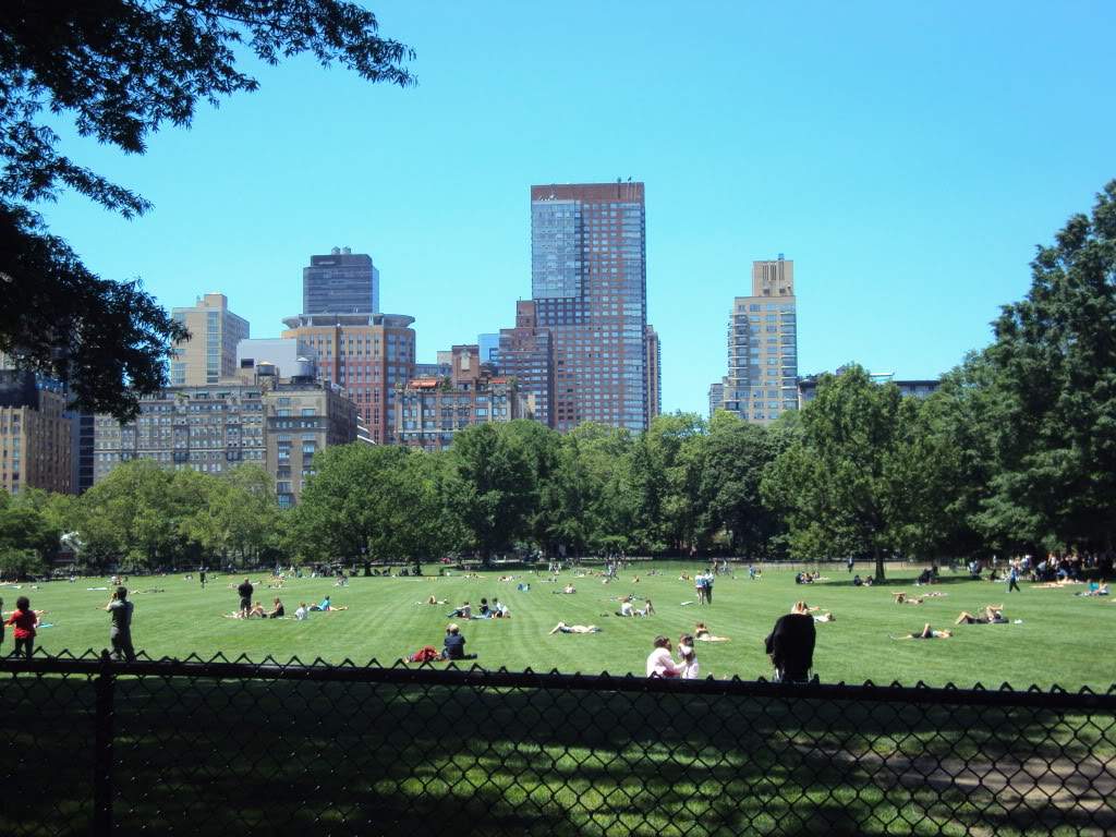 ai862.photobucket.com_albums_ab181_paulonev_New_20York_202012_DSC01334.jpg