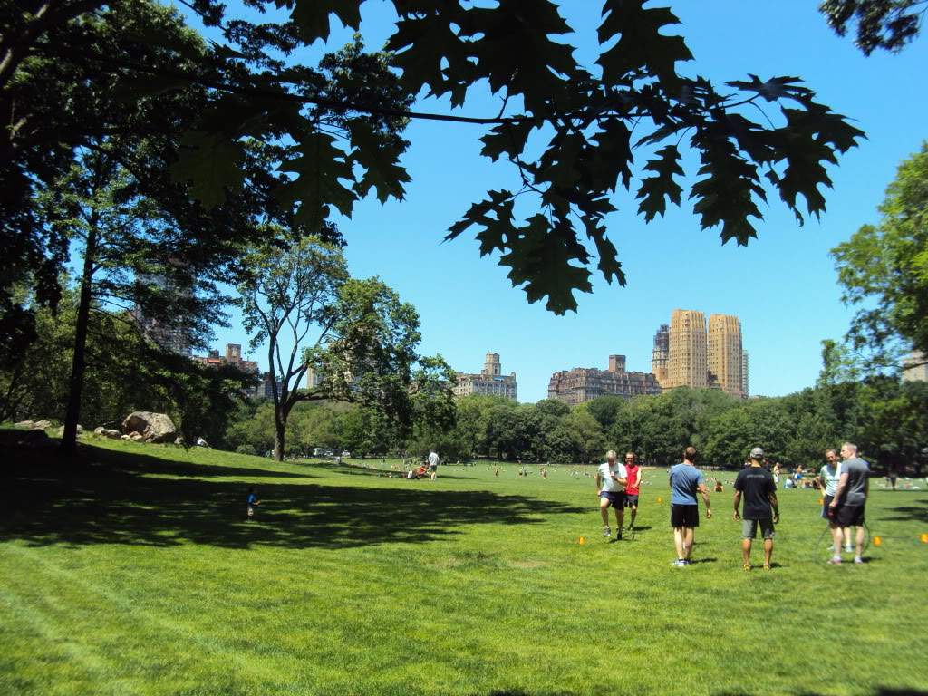 ai862.photobucket.com_albums_ab181_paulonev_New_20York_202012_DSC01336.jpg