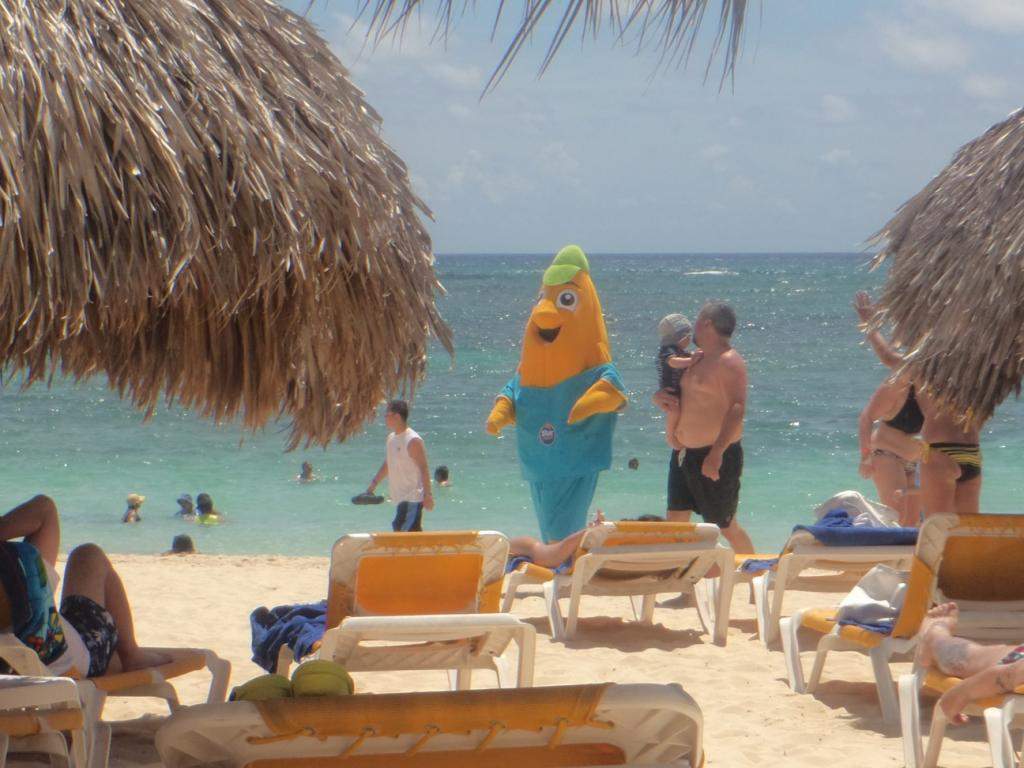 ai862.photobucket.com_albums_ab181_paulonev_Punta_20Cana_202014_DSC00416Coacutepia.jpg