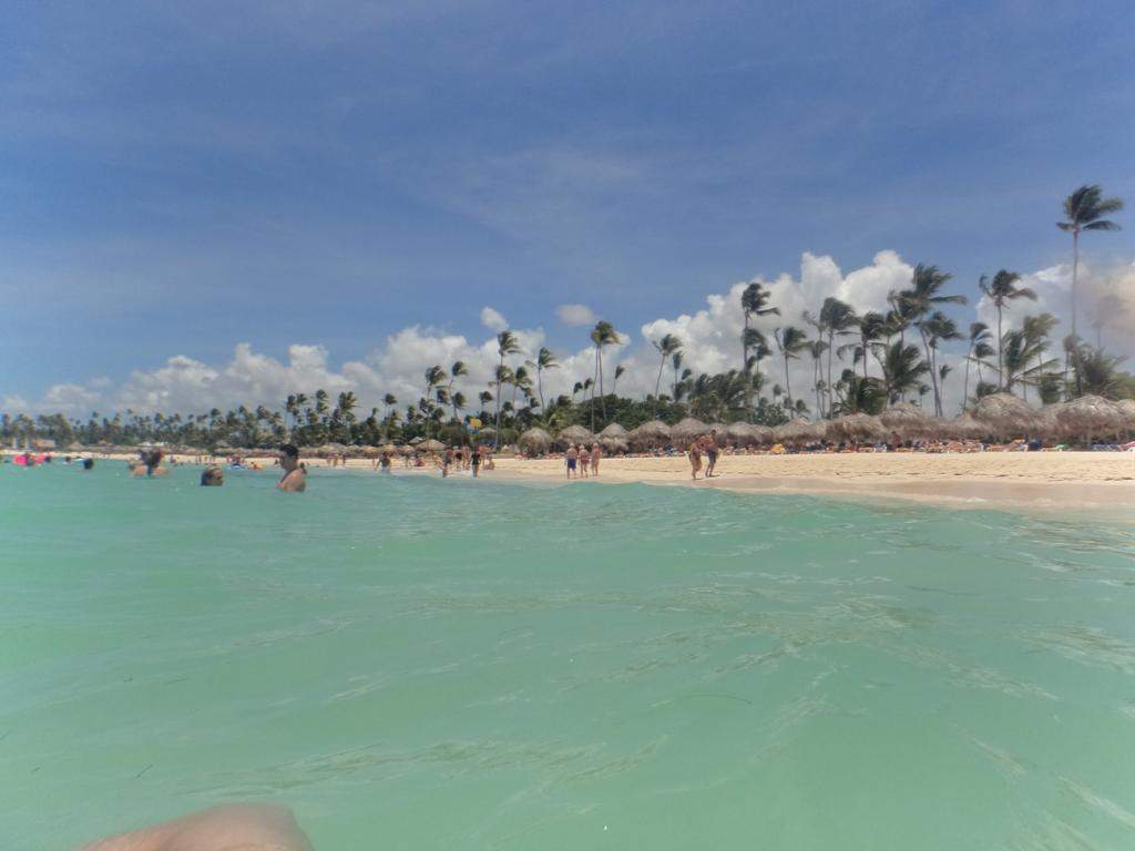 ai862.photobucket.com_albums_ab181_paulonev_Punta_20Cana_202014_DSC00428Coacutepia.jpg