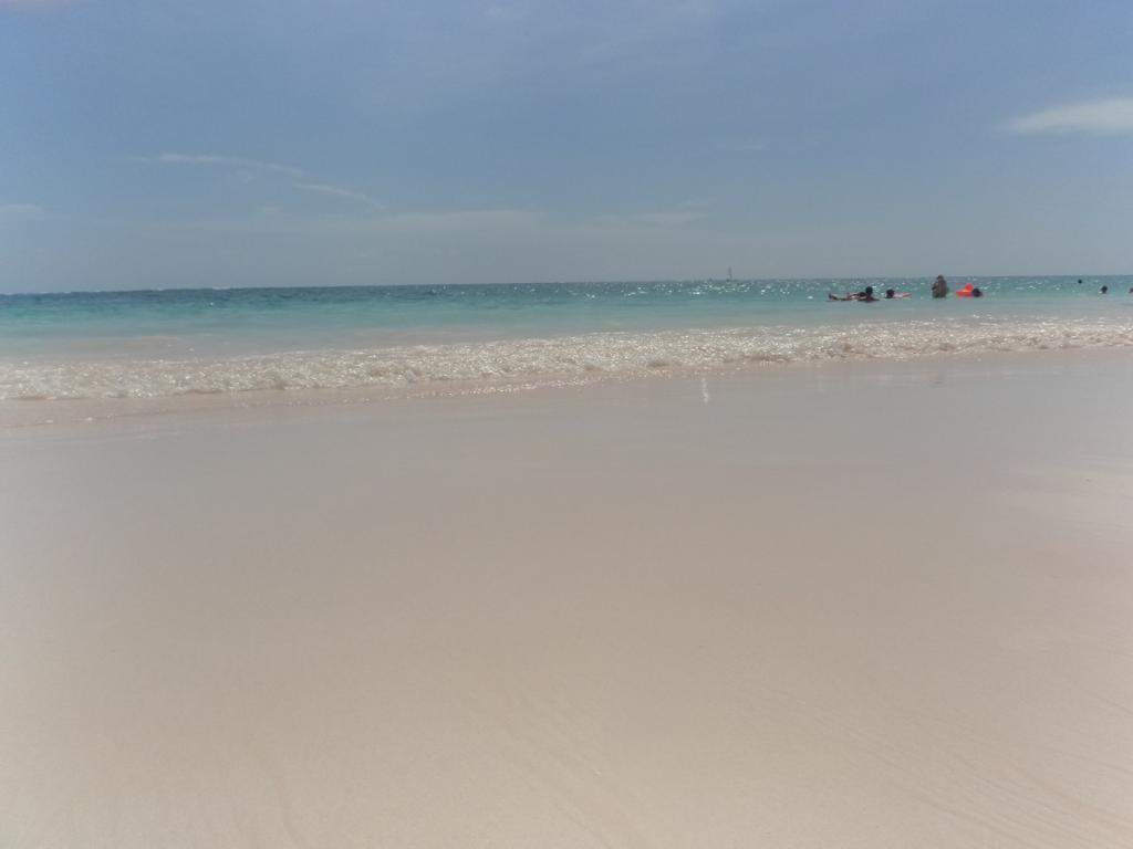 ai862.photobucket.com_albums_ab181_paulonev_Punta_20Cana_202014_DSC00498Coacutepia.jpg