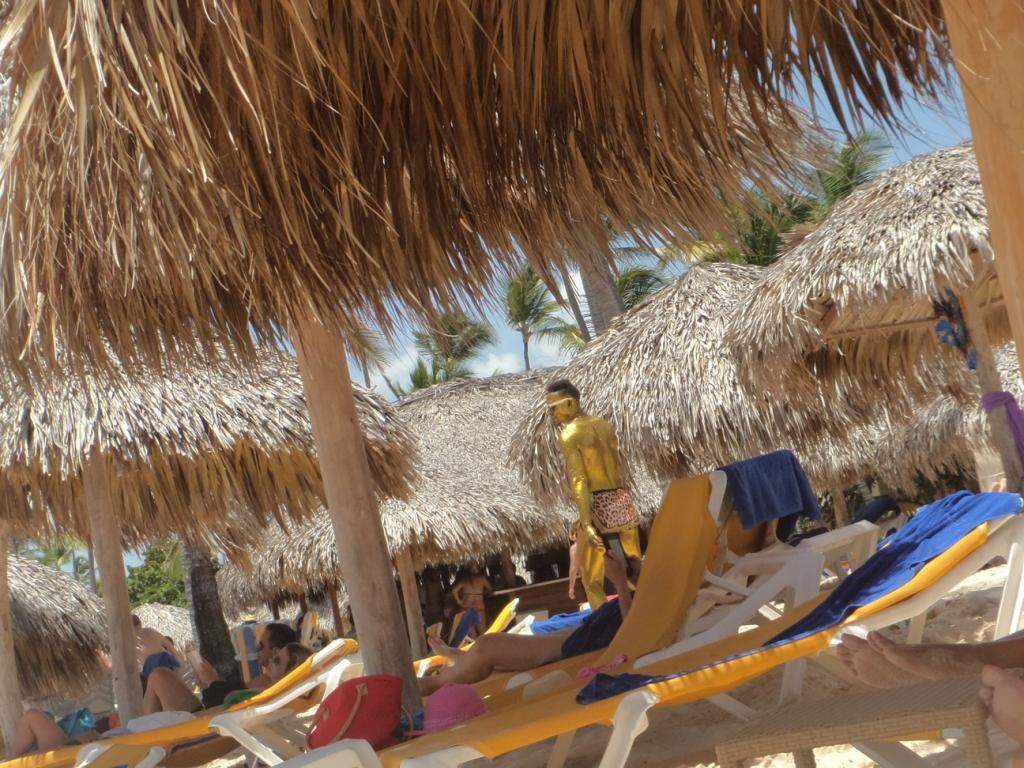 ai862.photobucket.com_albums_ab181_paulonev_Punta_20Cana_202014_DSC00521Coacutepia.jpg