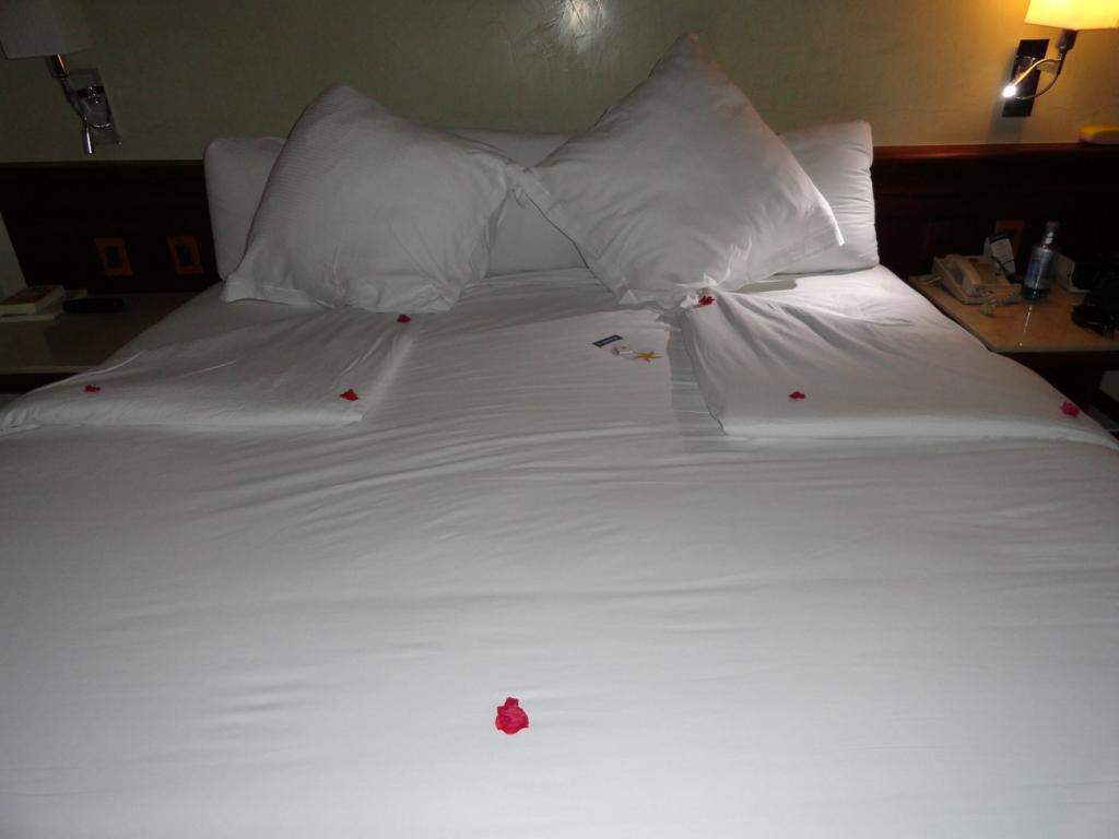 ai862.photobucket.com_albums_ab181_paulonev_Punta_20Cana_202014_DSC01729Coacutepia.jpg