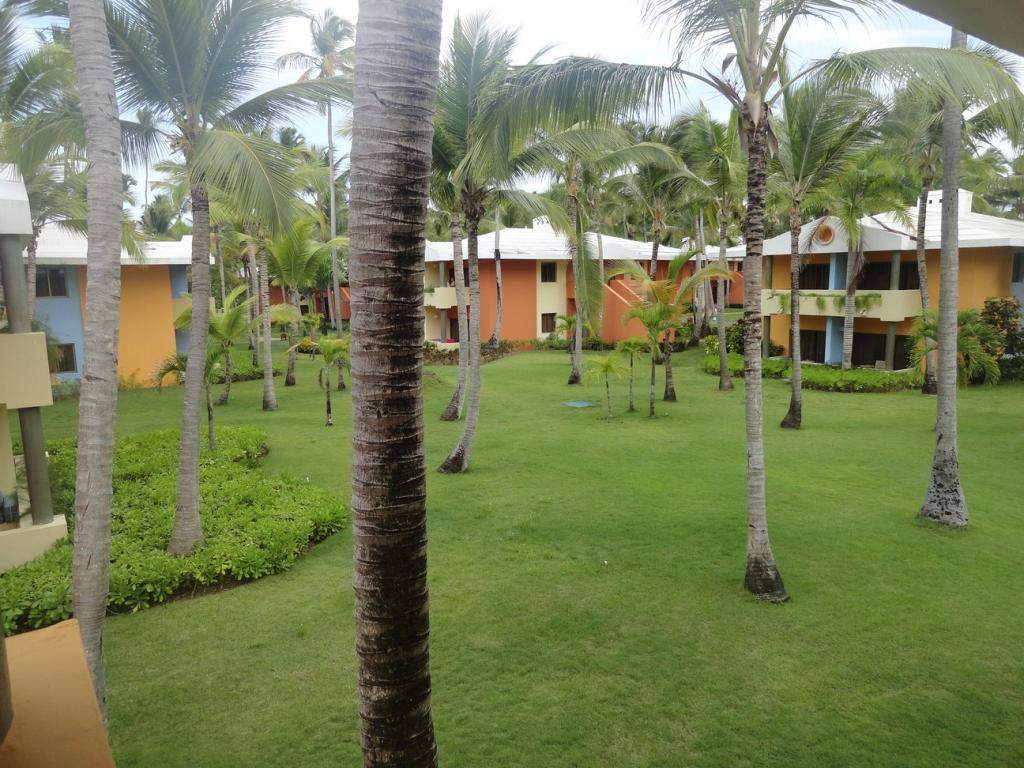 ai862.photobucket.com_albums_ab181_paulonev_Punta_20Cana_202014_DSC01782Coacutepia.jpg