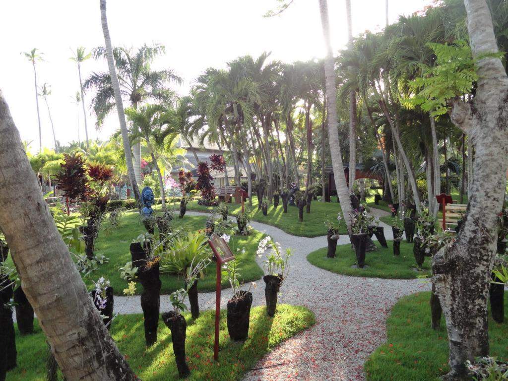 ai862.photobucket.com_albums_ab181_paulonev_Punta_20Cana_202014_DSC01854Coacutepia.jpg