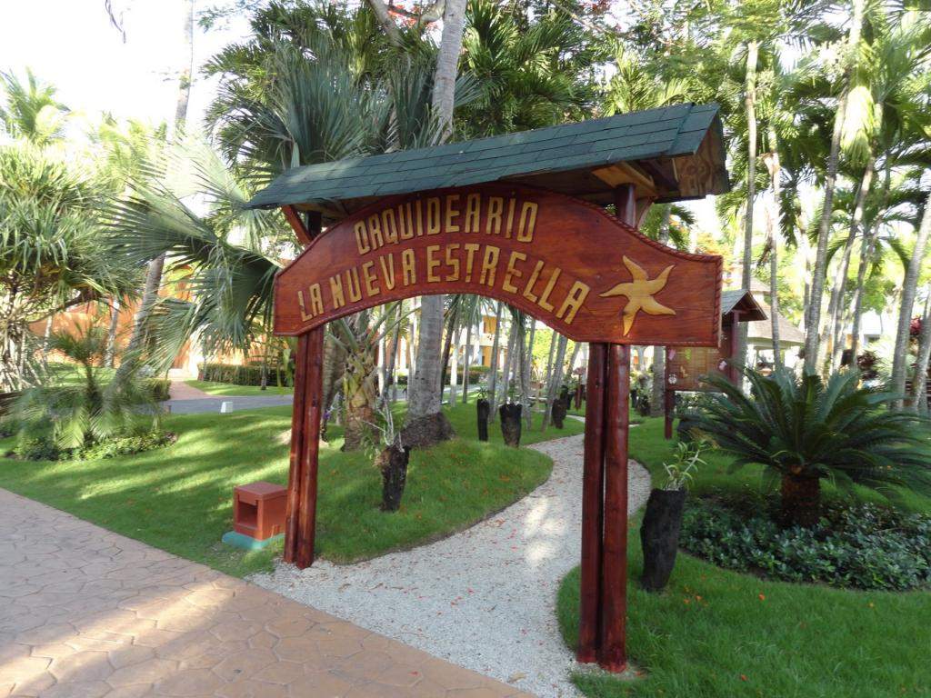ai862.photobucket.com_albums_ab181_paulonev_Punta_20Cana_202014_DSC01862Coacutepia.jpg