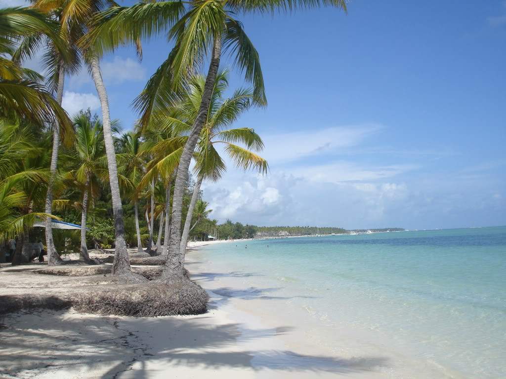 ai862.photobucket.com_albums_ab181_paulonev_Republica_20Dominicana_DSC03009.jpg
