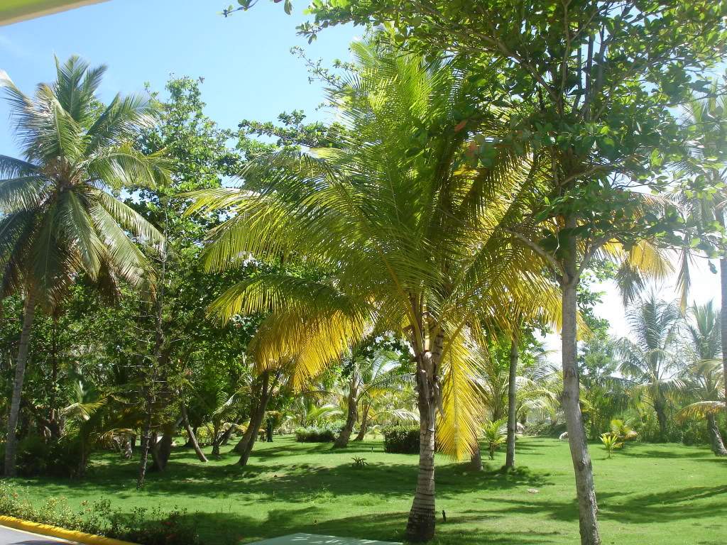 ai862.photobucket.com_albums_ab181_paulonev_Republica_20Dominicana_DSC03049.jpg