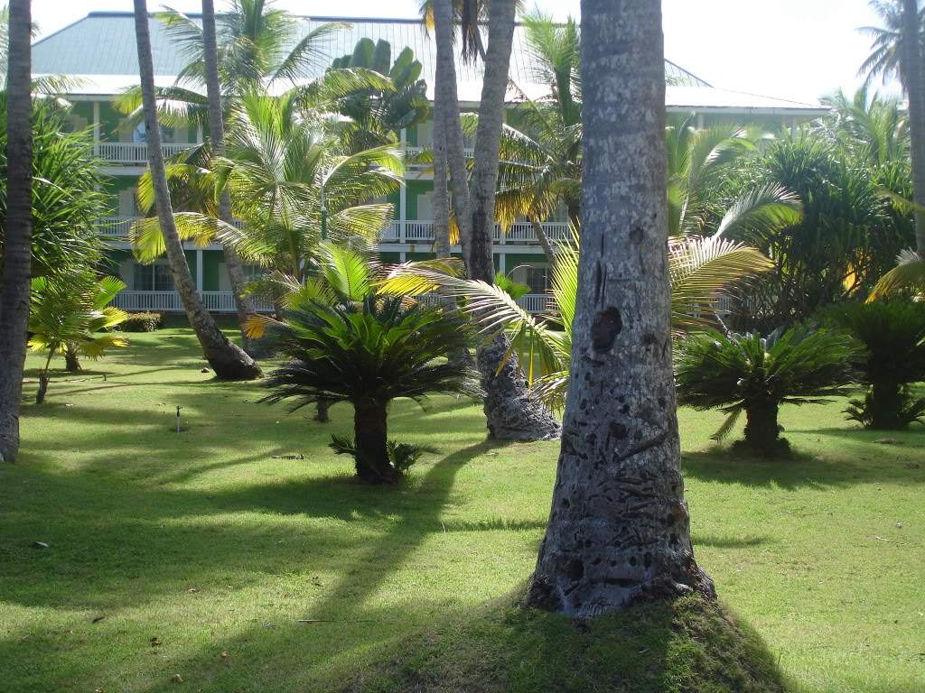 ai862.photobucket.com_albums_ab181_paulonev_Republica_20Dominicana_DSC03055.jpg
