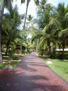 ai862.photobucket.com_albums_ab181_paulonev_Republica_20Dominicana_Imagem307.jpg