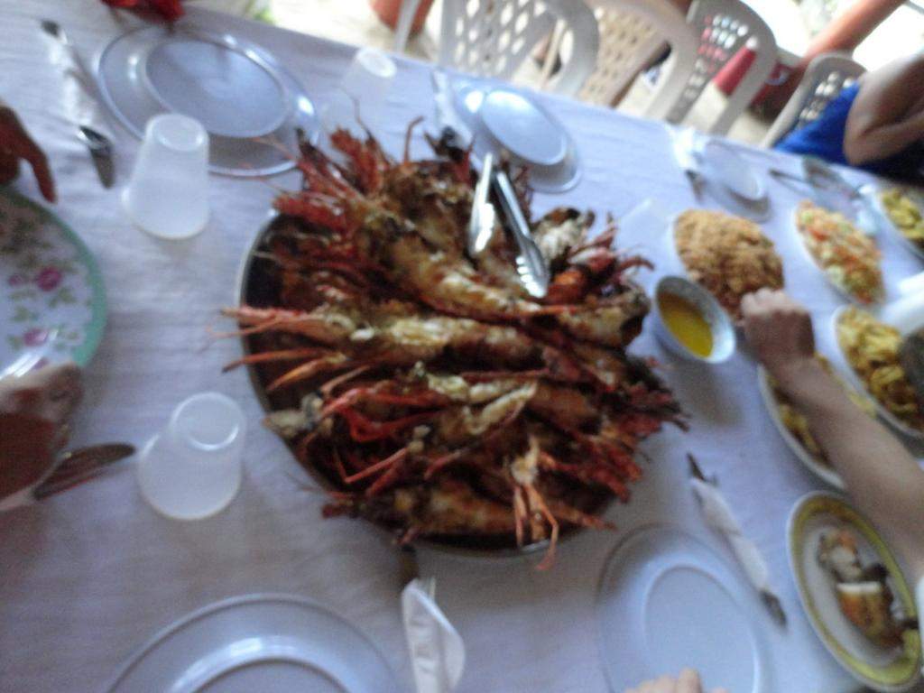 ai862.photobucket.com_albums_ab181_paulonev_Samana_20Setembro_202014_DSC01924Coacutepia.jpg