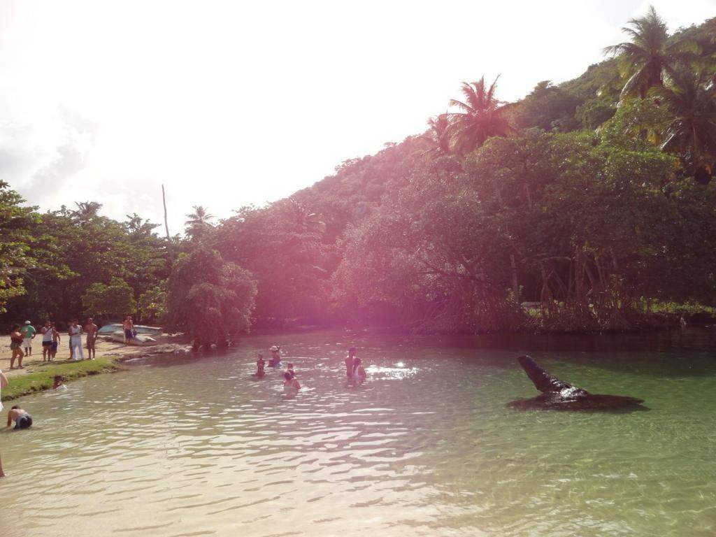 ai862.photobucket.com_albums_ab181_paulonev_Samana_20Setembro_202014_DSC01925Coacutepia.jpg