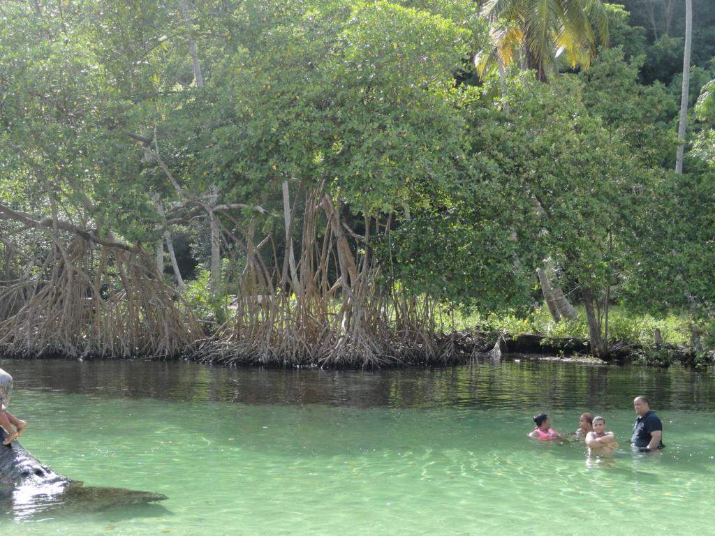 ai862.photobucket.com_albums_ab181_paulonev_Samana_20Setembro_202014_DSC01927Coacutepia.jpg