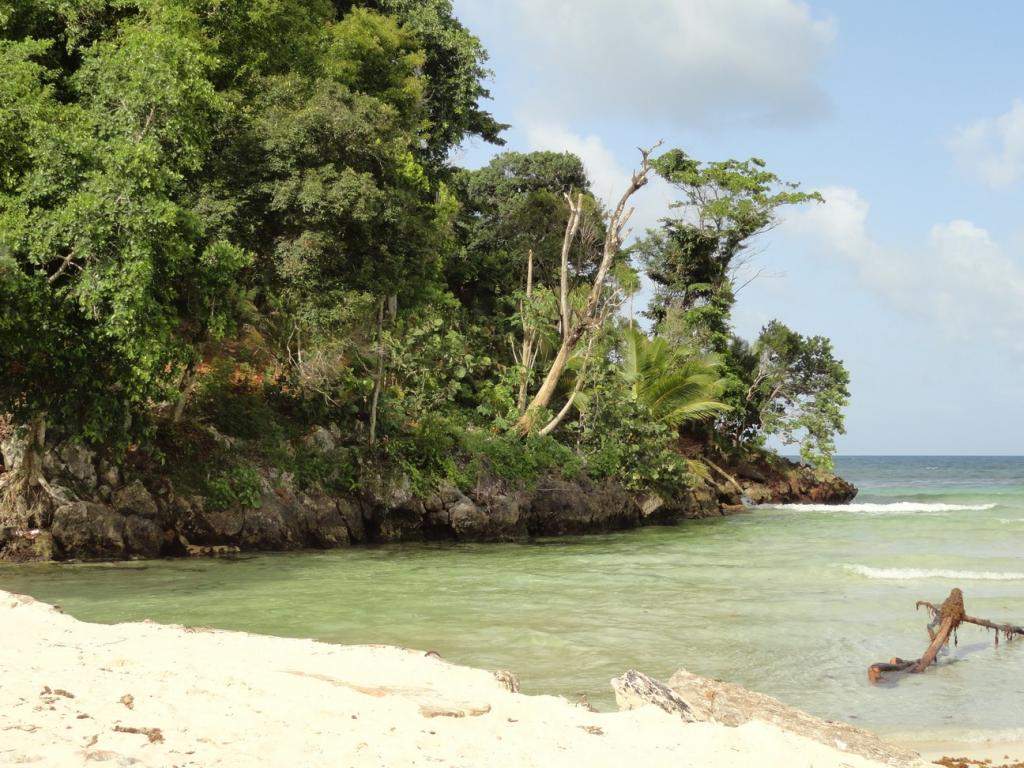 ai862.photobucket.com_albums_ab181_paulonev_Samana_20Setembro_202014_DSC01929Coacutepia.jpg